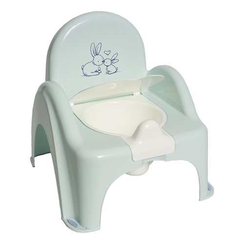 Baby Potty Chair