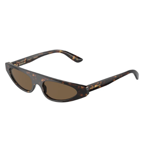 Sunglasses Dolce Gabbana DG4442 502/73 52